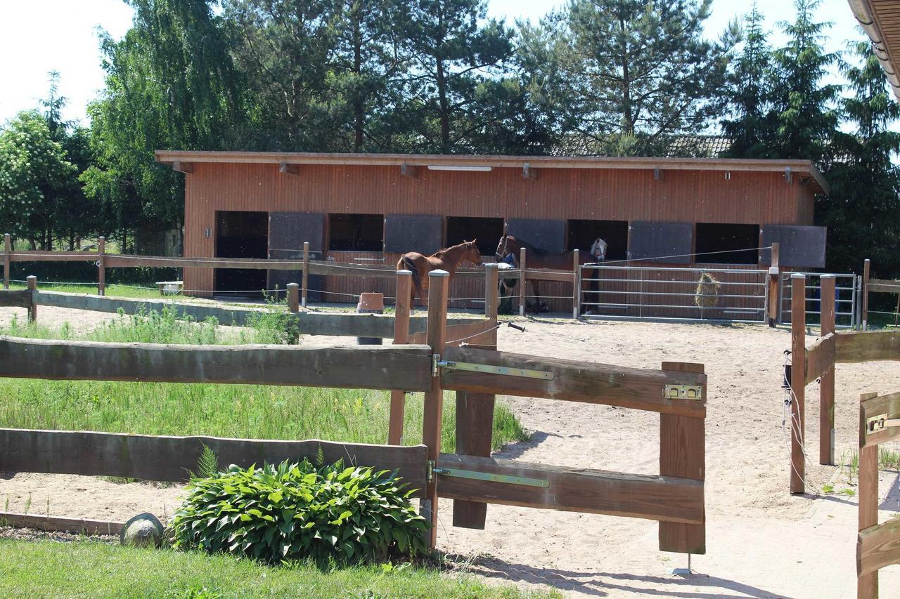Landhaus Peene Sophienhof Dış mekan fotoğraf